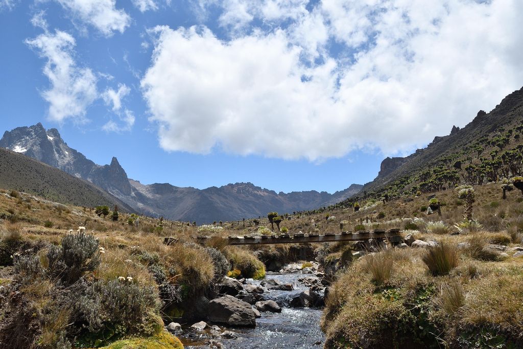 A stream running through a high valley below Mount Kenya's peaks